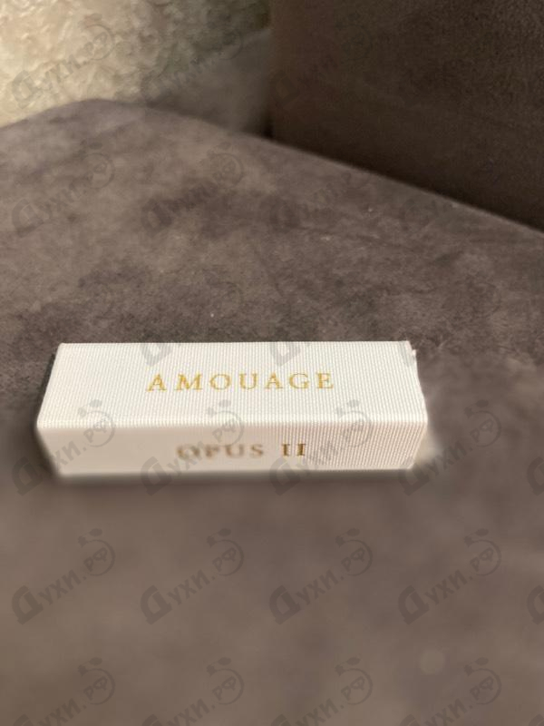 Купить Library Collection Opus II от Amouage