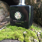 Отзывы Amouage Memoir