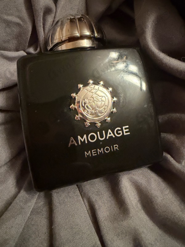 Купить Memoir от Amouage