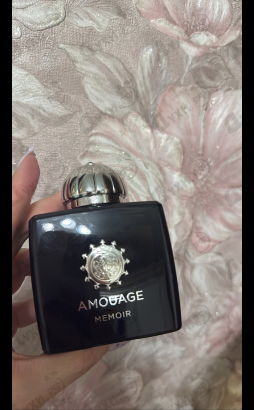 Купить Memoir от Amouage