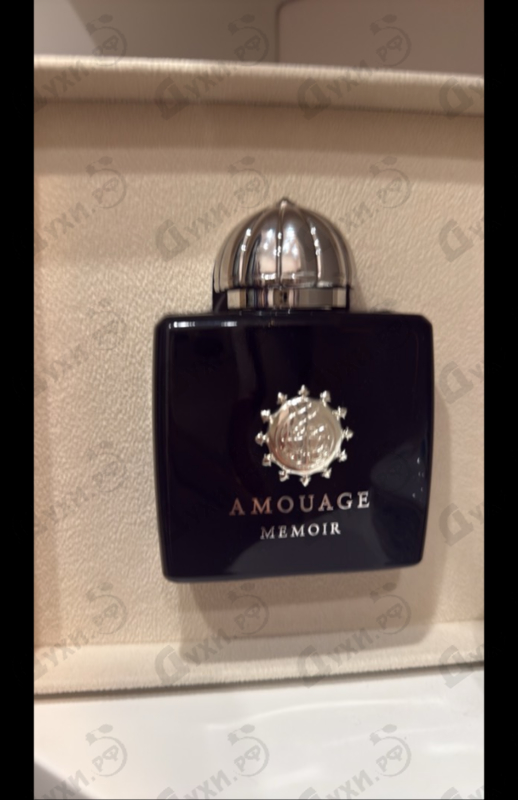 Купить Memoir от Amouage