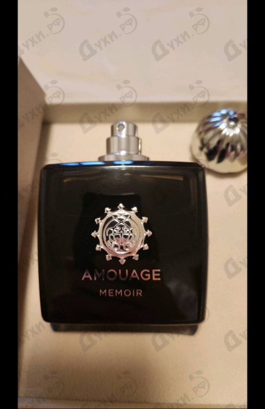 Купить Memoir от Amouage