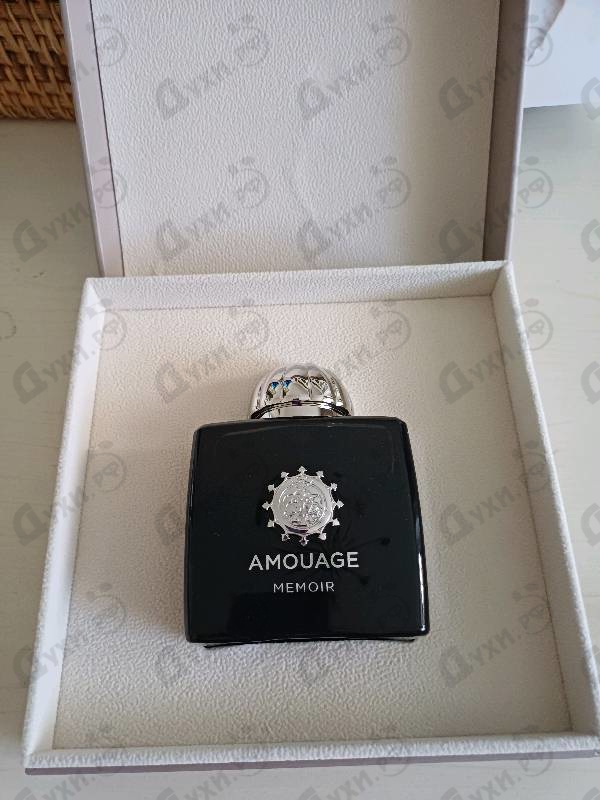 Купить Memoir от Amouage