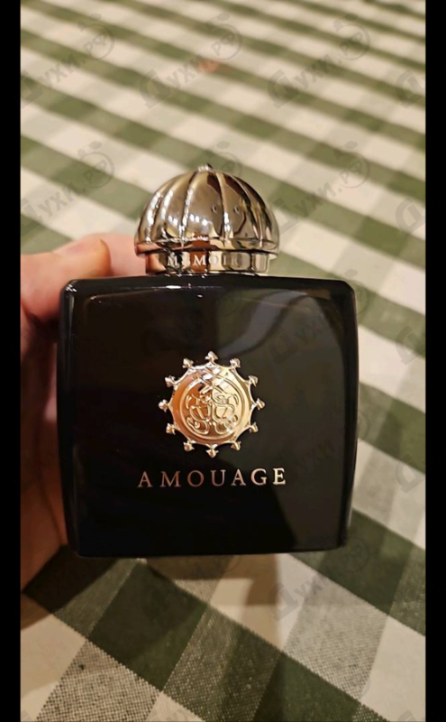 Купить Memoir от Amouage
