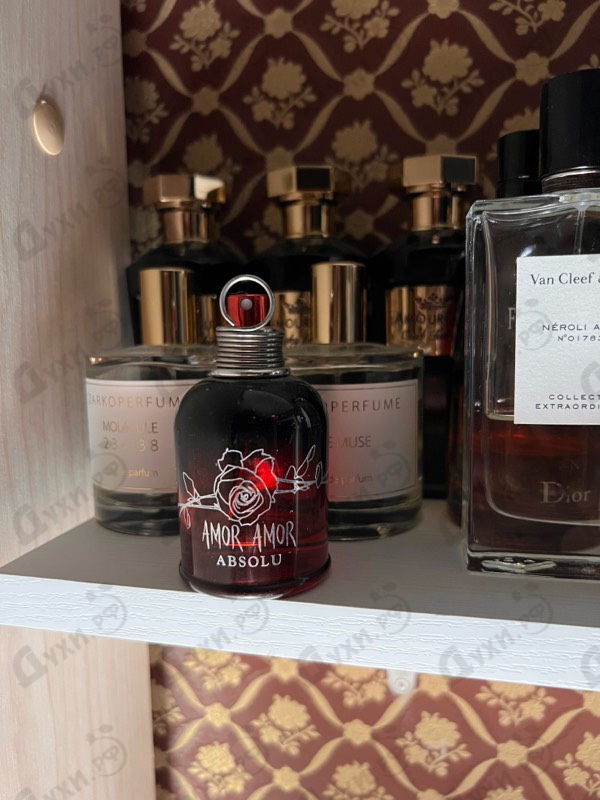 Духи Amor Amor Absolu от Cacharel