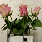 Отзыв Chanel Beige