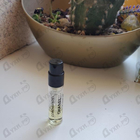 Отзыв Chanel Coromandel