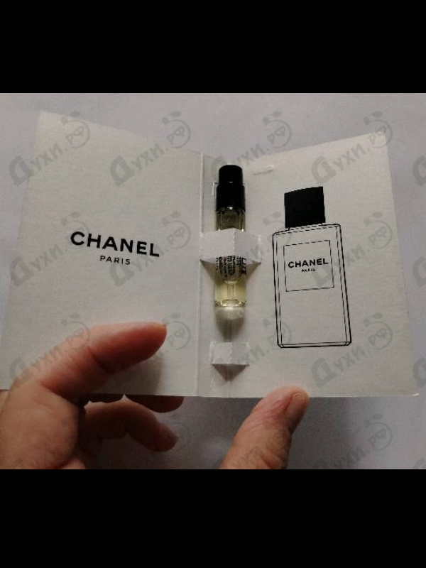Отзыв Chanel Coromandel
