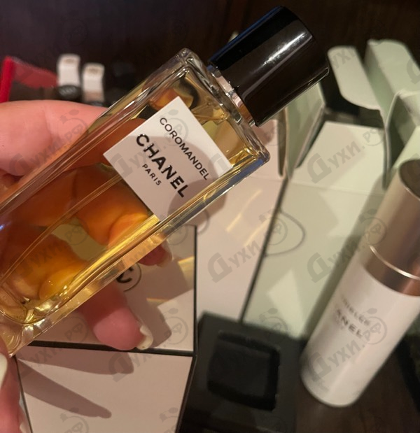 Отзыв Chanel Coromandel