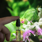 Духи Coromandel от Chanel