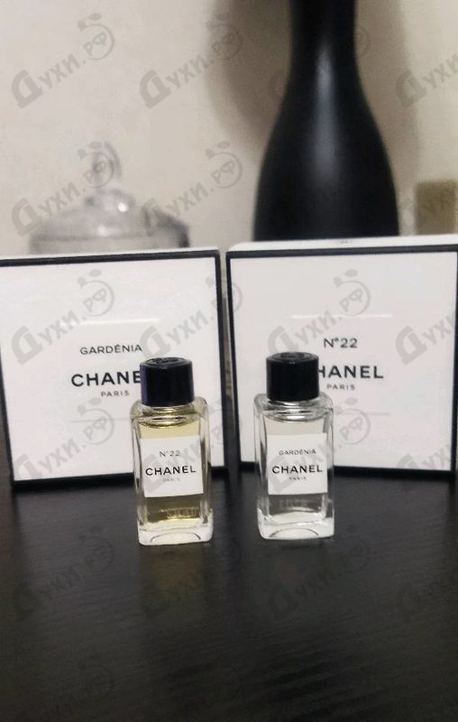 Отзыв Chanel 22