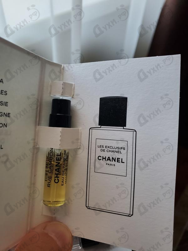 Купить 31 Rue Cambon от Chanel