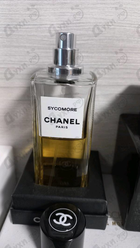 Купить Chanel Sycomore