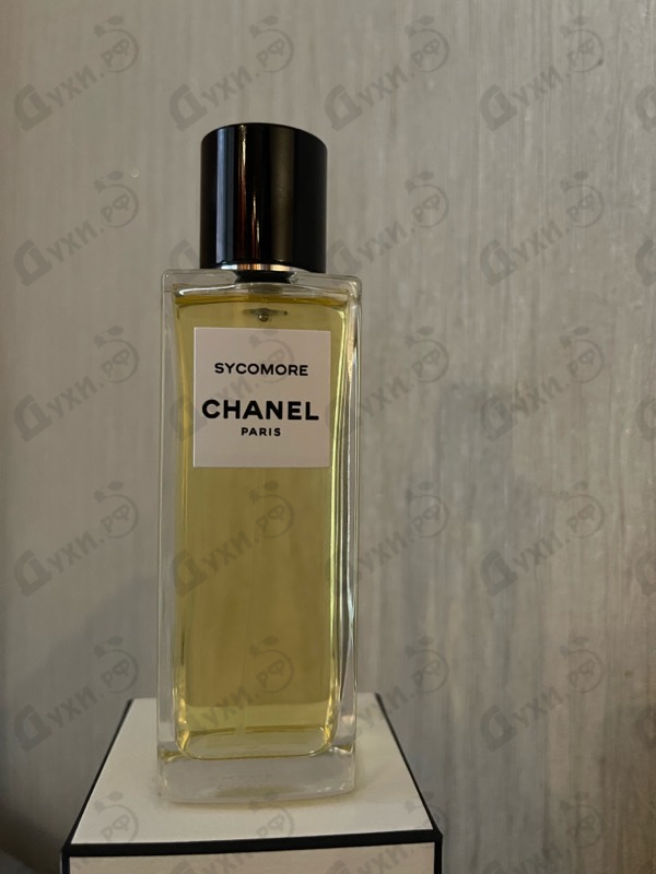 Купить Chanel Sycomore