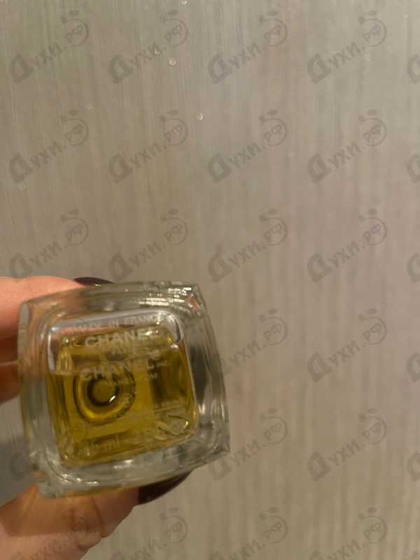 Купить Chanel Sycomore