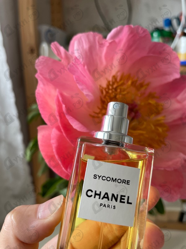 Купить Sycomore от Chanel