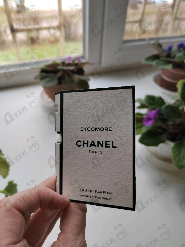 Купить Sycomore от Chanel