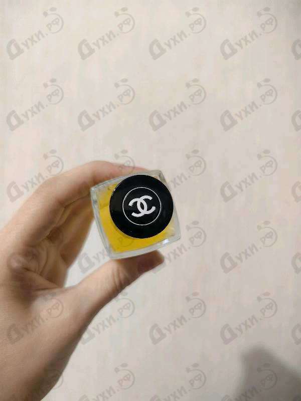 Купить Chanel Sycomore