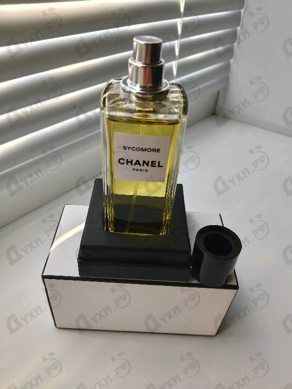 Купить Chanel Sycomore