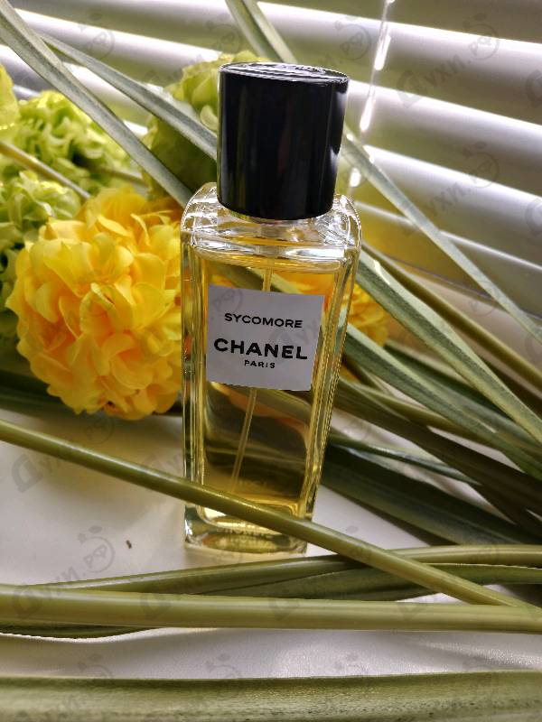 Духи Sycomore от Chanel