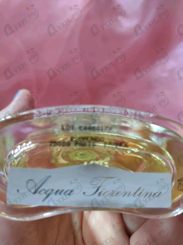 Купить Acqua Fiorentina от Creed Купить Creed Acqua Fiorentina