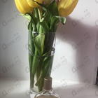 Духи Dkny Pure (Vanilla) от Donna Karan