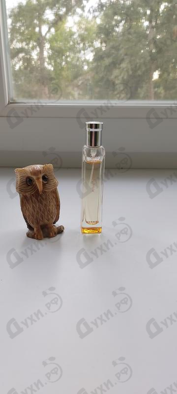 Отзывы Hermes Ambre Narguile Парфюмерия Ambre Narguile от Hermes