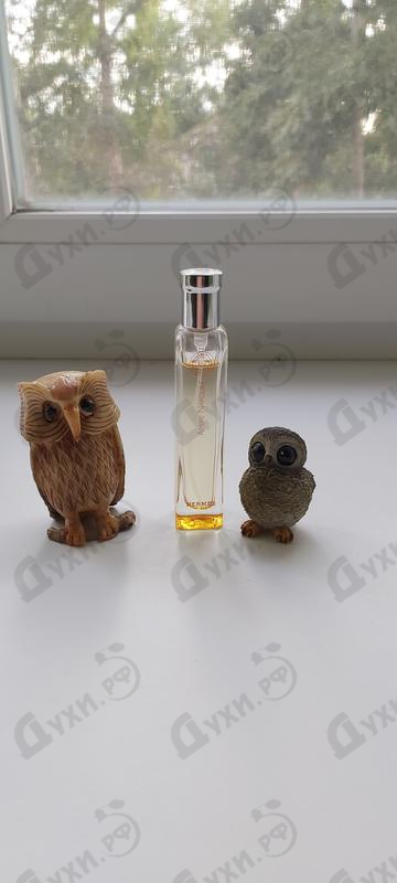 Отзывы Hermes Ambre Narguile Купить Ambre Narguile от Hermes