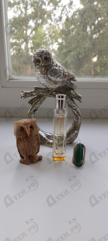 Отзыв Hermes Ambre Narguile Духи Ambre Narguile от Hermes
