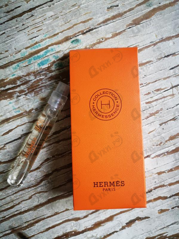 Купить Hermes Ambre Narguile