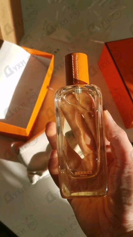 Отзыв Hermes Ambre Narguile
