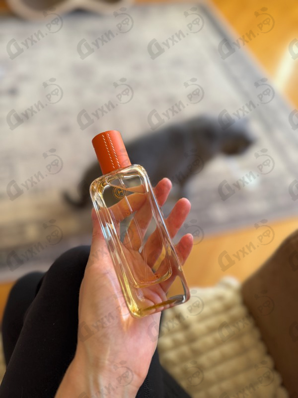 Отзыв Hermes Ambre Narguile