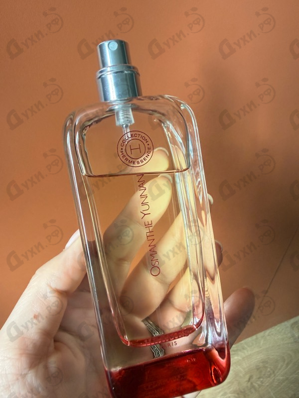 Купить Hermes Osmanthe Yunnan