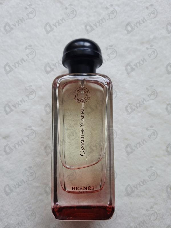 Купить Osmanthe Yunnan от Hermes