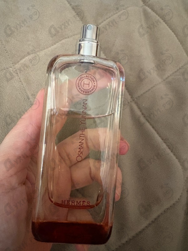 Отзыв Hermes Osmanthe Yunnan