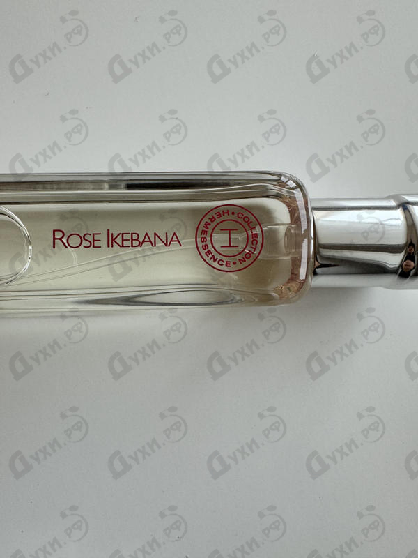 Купить Hermes Rose Ikebana