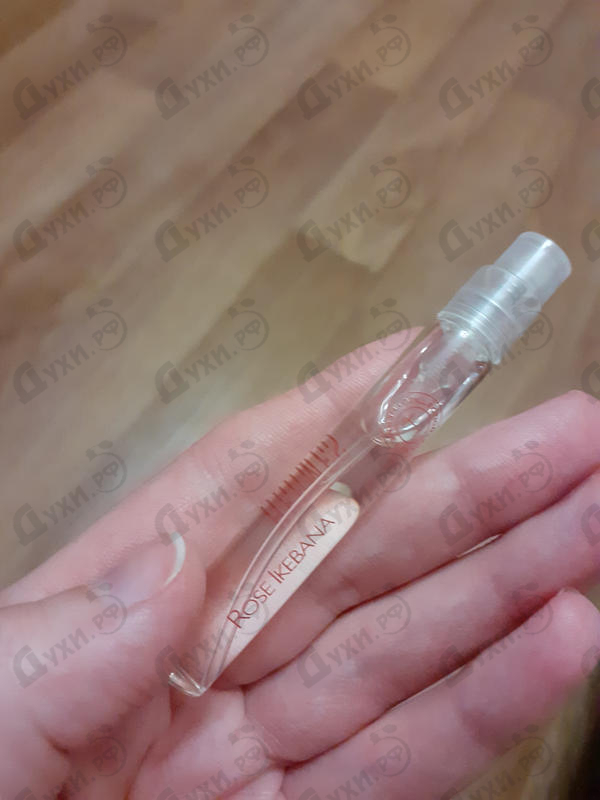 Купить Rose Ikebana от Hermes