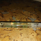 Отзывы Hermes Vetiver Tonka