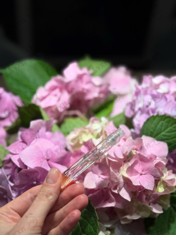 Купить Hermes Vetiver Tonka