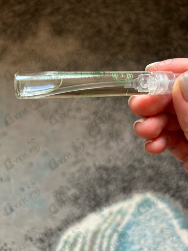 Купить Vetiver Tonka от Hermes