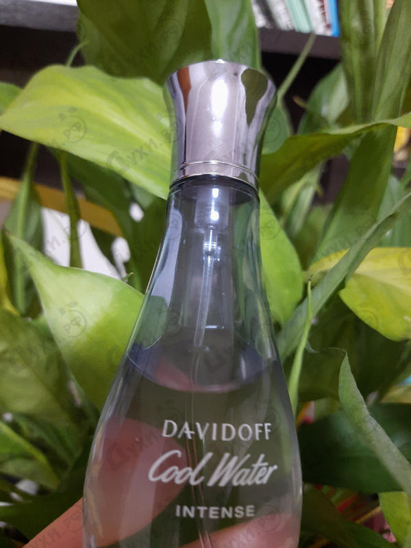 Купить Cool Water Intense for Her от Davidoff