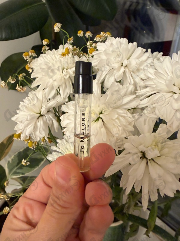 Духи Lime Basil & Mandarin от Jo Malone