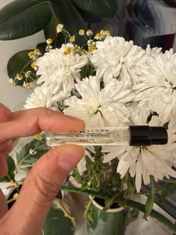 Парфюмерия Lime Basil & Mandarin от Jo Malone