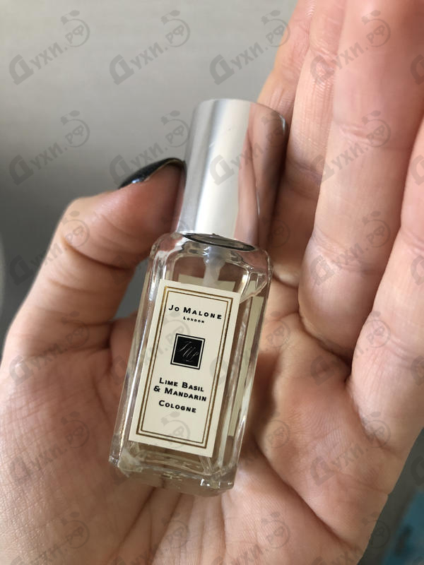 Парфюмерия Lime Basil & Mandarine от Jo Malone