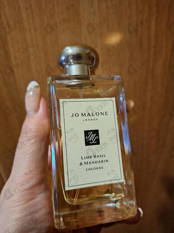 Купить Lime Basil & Mandarin от Jo Malone