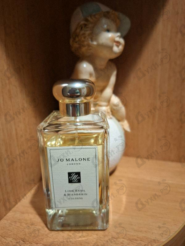 Парфюмерия Lime Basil & Mandarin от Jo Malone