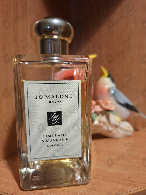 Духи Lime Basil & Mandarin от Jo Malone