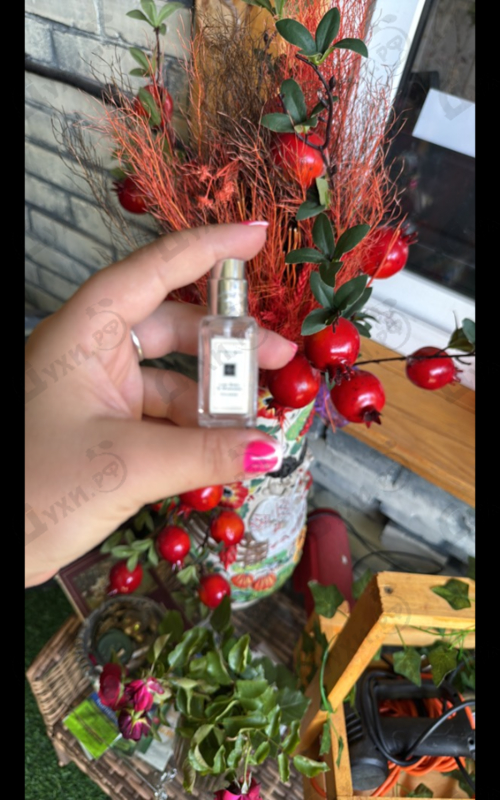 Купить Lime Basil & Mandarin от Jo Malone