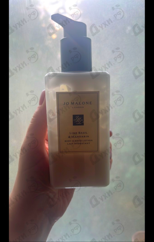 Духи Lime Basil & Mandarin от Jo Malone Отзыв Jo Malone Lime Basil & Mandarin