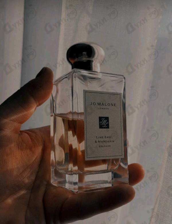 Духи Lime Basil & Mandarin от Jo Malone